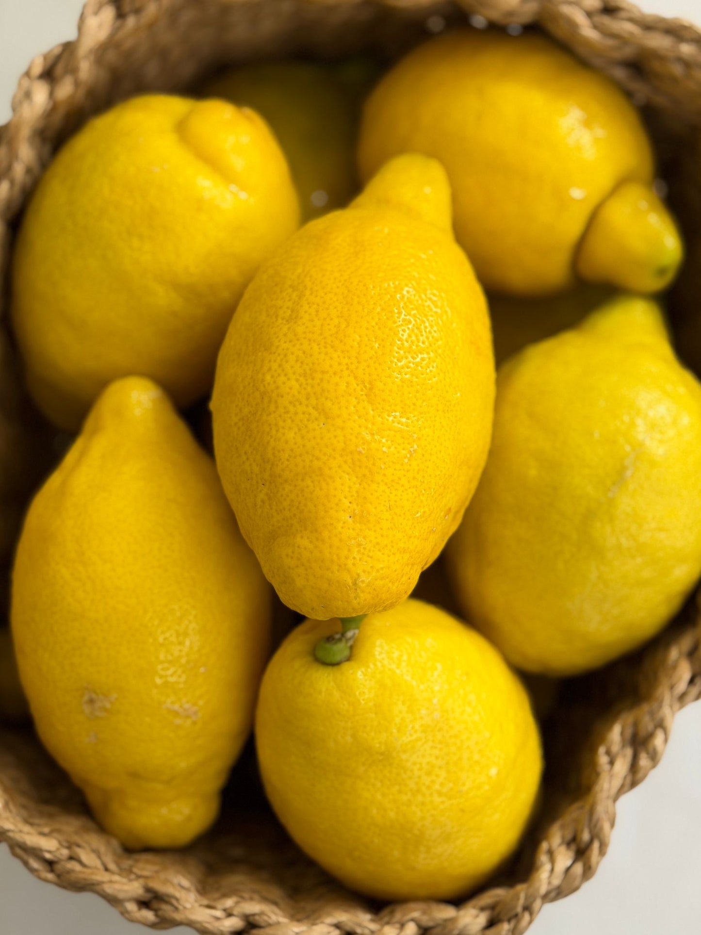 Lemon Fruit Bowl | Dried Lemon Slices | 75g | 🍋