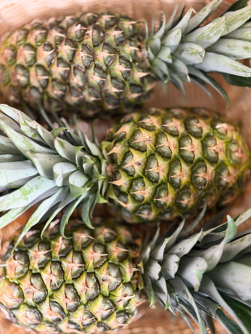 Dehydrated Pineapple | Ideal for cocktails, Drink garnishes, or Adding a Punch of flavour! | 50g / 100g Available