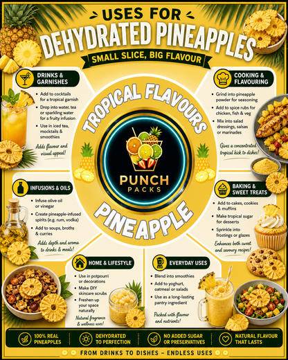 Dehydrated Pineapple Slices | Perfect with a Pina Colada, Drink garnishes, or Adding a Punch of Flavour! | Packs 10 / 20 Servings!