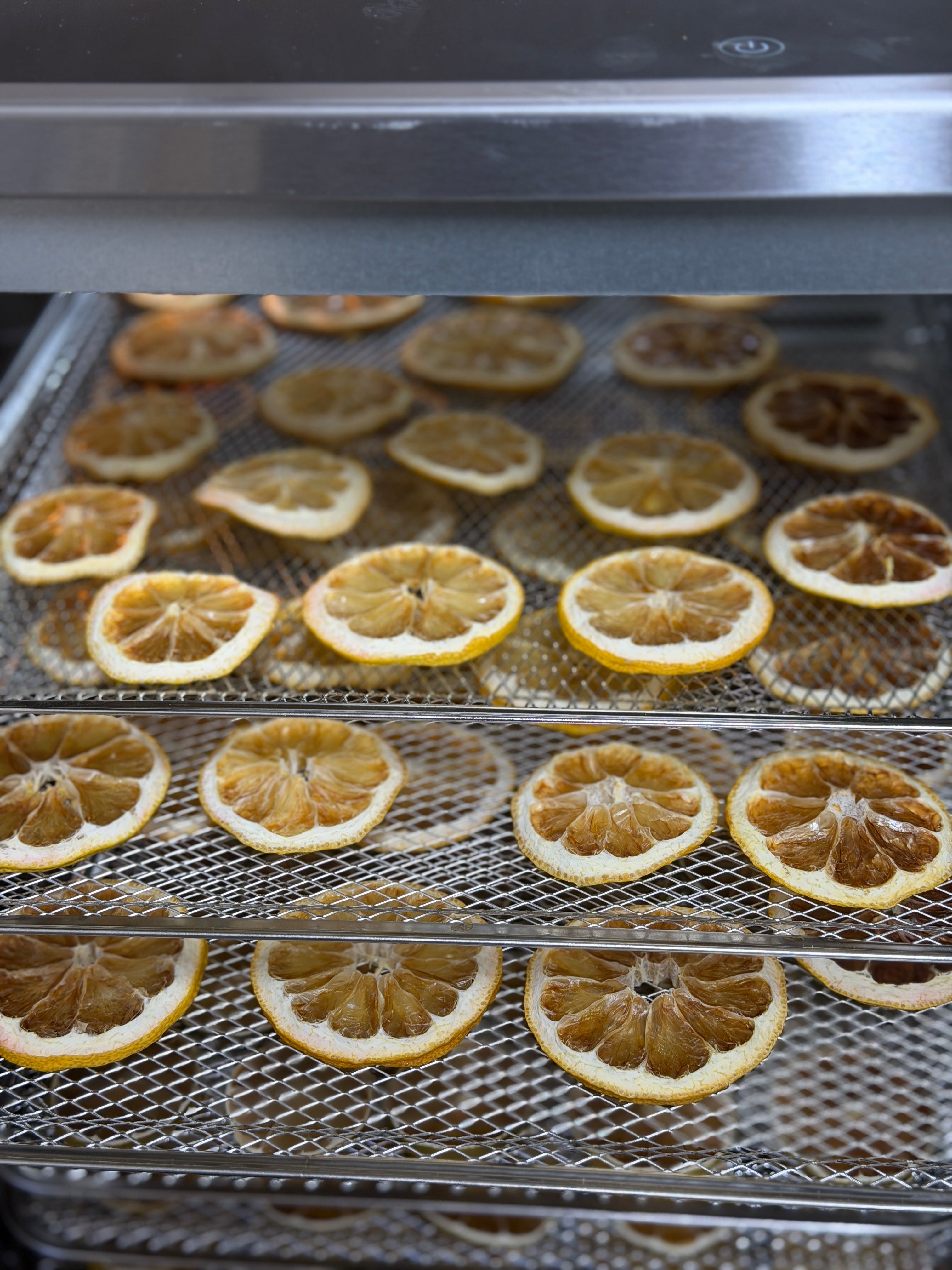 Dehydrated Lemons | Ideal for cocktails, Drink garnishes, or Adding a Punch of flavour! | 50g / 100g Available