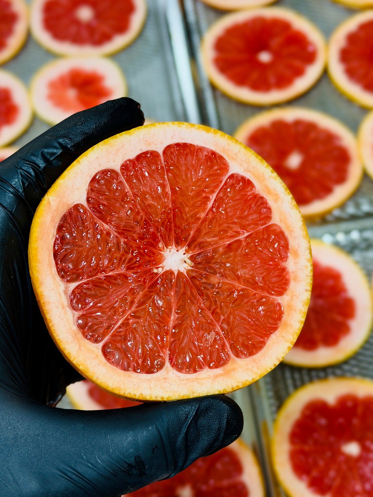 Dehydrated Pink Grapefruit Wheels | Elevate your Cocktails and Soft Drinks | Packs of 15 Servings!