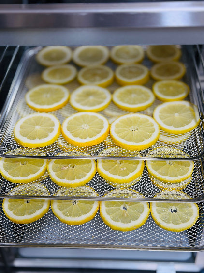 Sliced lemons arranged in a dehydrator tray