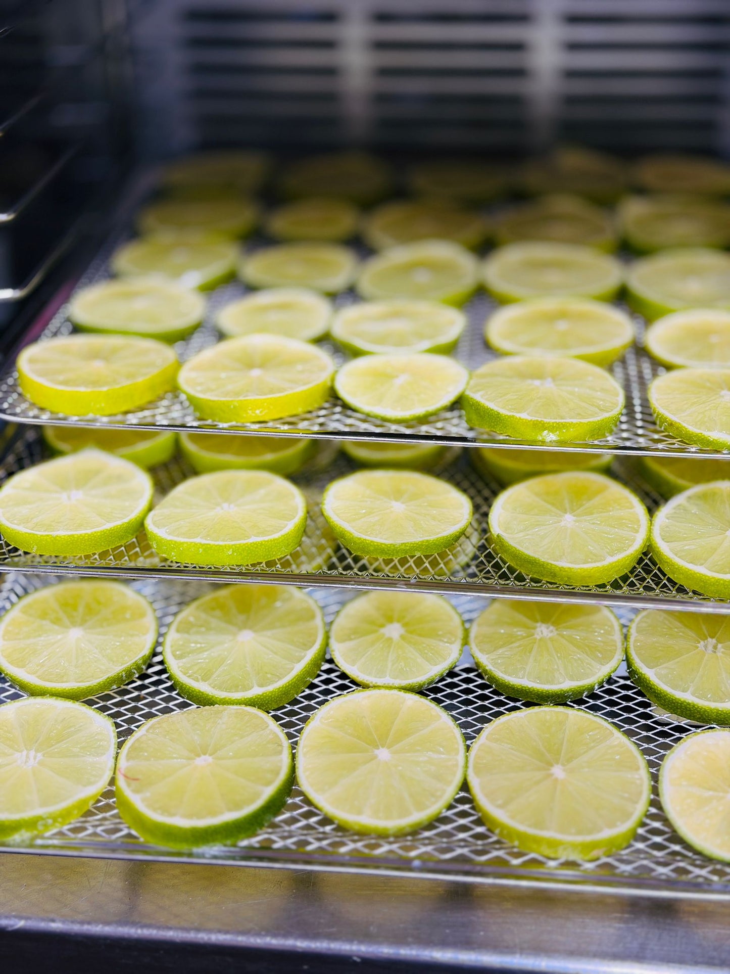 Dehydrated Lime Wheels | Ideal for Cocktails, Drink garnishes, or Adding a Punch of flavour! | Packs 35+ / 65+ Servings!