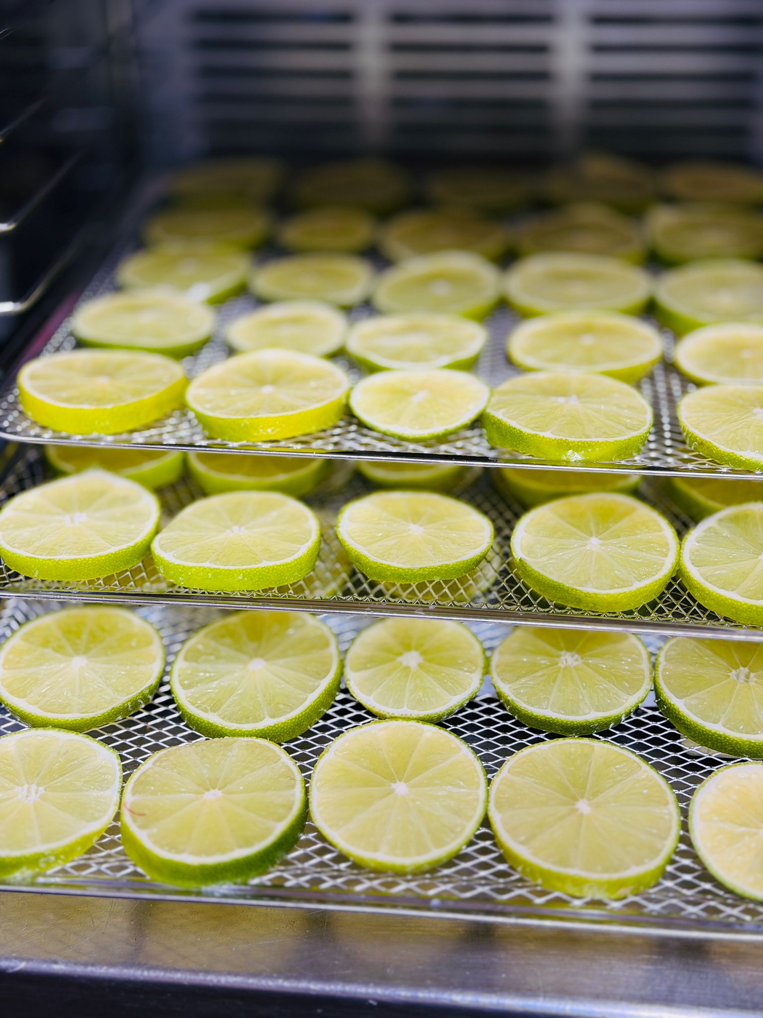 Dehydrated Limes | Ideal for cocktails, Drink garnishes, or Adding a Punch of flavour! | 50g / 100g Available